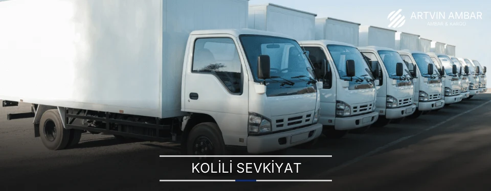 Artvin Kolili Sevkiyat Ambar Firmaları
