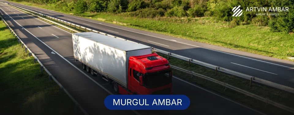 Murgul Ambar Kargo