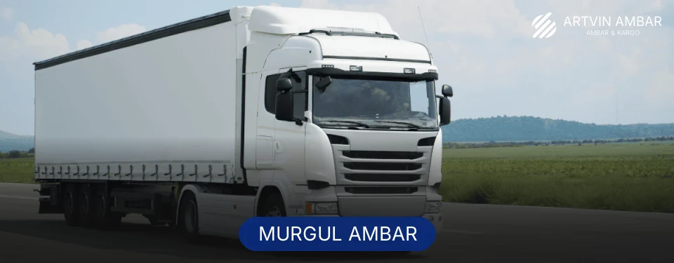 Murgul Ambar