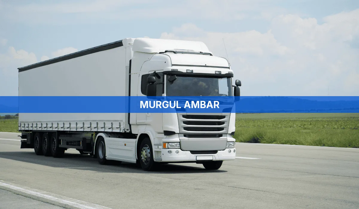 Murgul Ambar